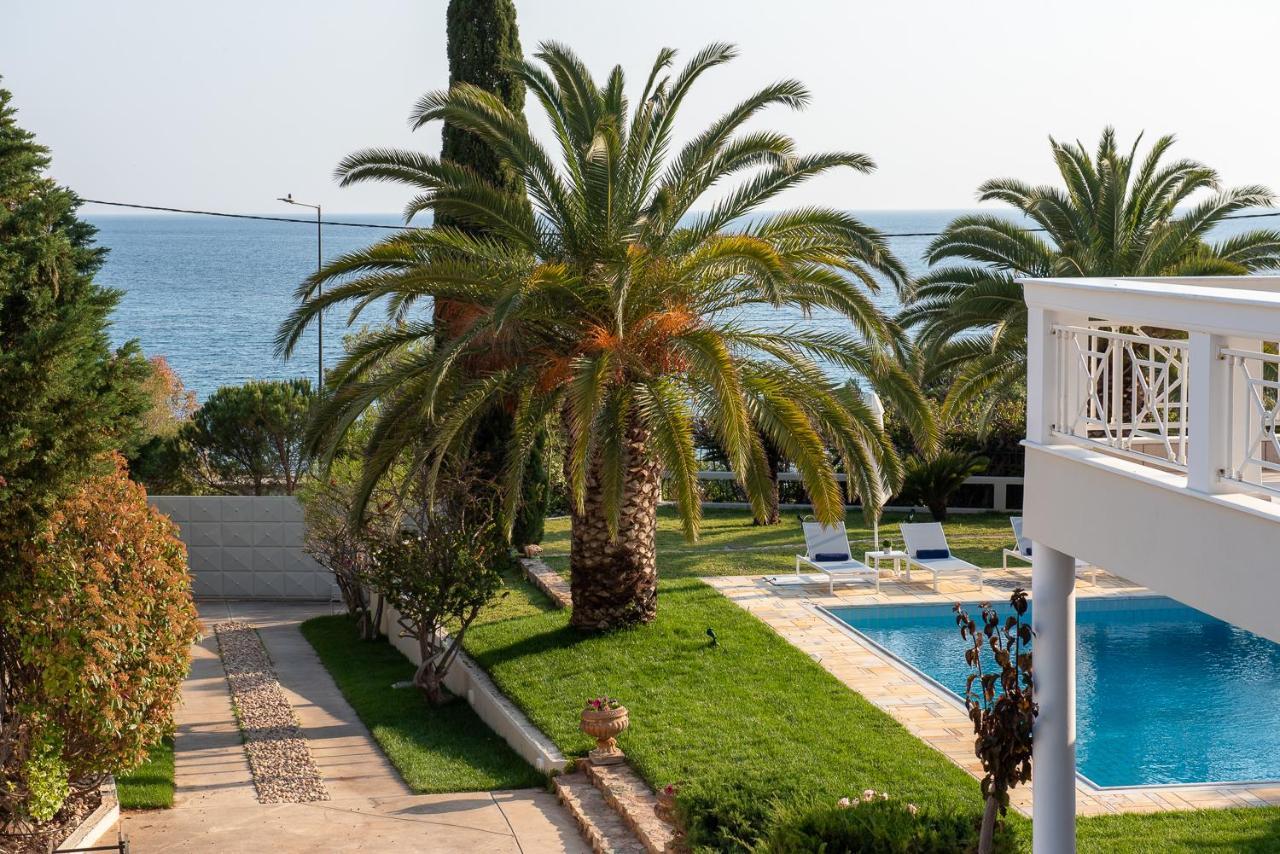 Kamariyo Athens Riviera By A&D Properties Palaiá Fókaia 외부 사진